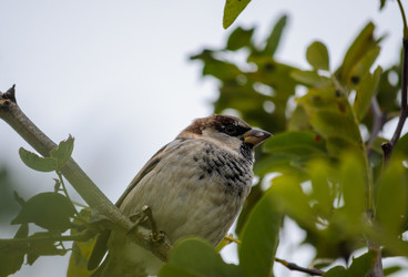 Similar image 22290075