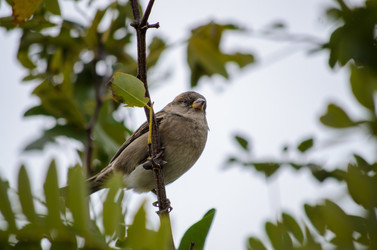 Similar image 22290076