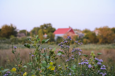 Similar image 22301541