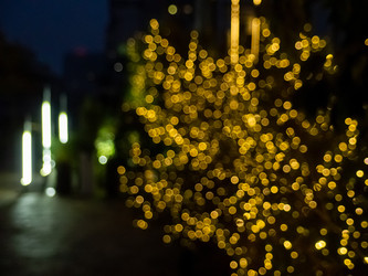 Similar image 22301550