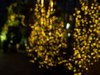 Similar image 22301551