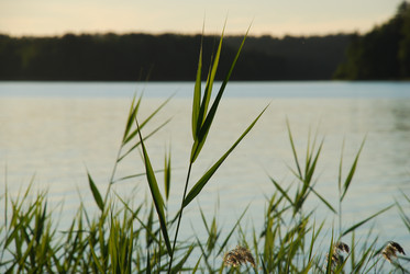 Similar image 22291611