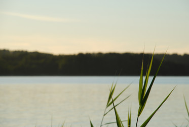 Similar image 22291612