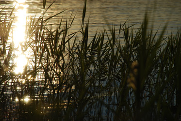 Similar image 22291614