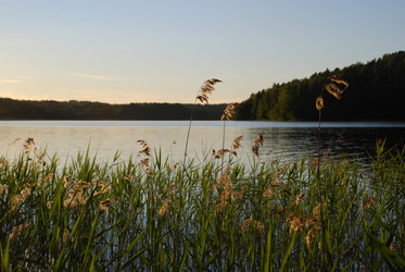 Similar image 22291616