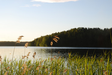 Similar image 22291617