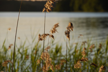 Similar image 22291618