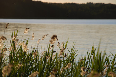 Similar image 22291619