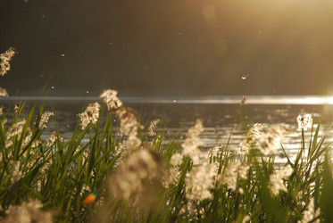 Similar image 22291620