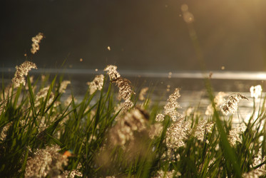 Similar image 22291621