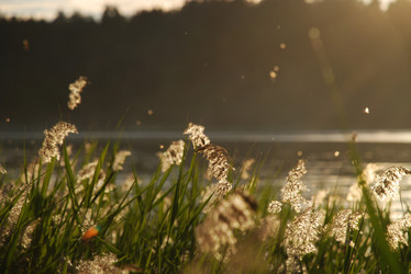 Similar image 22291622