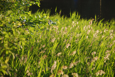 Similar image 22291623