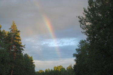 Similar image 22291624