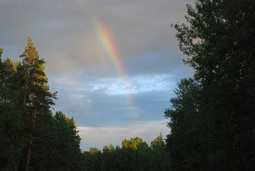 Similar image 22291625