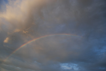 Similar image 22291641