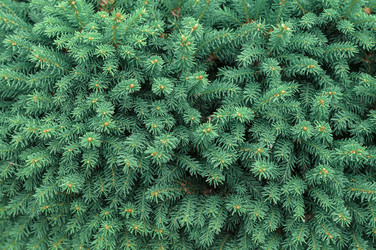 Similar image 22291811