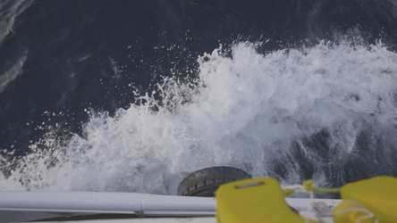 Similar image 22326005