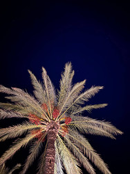 Similar image 22294076