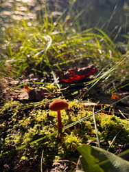 Similar image 22294077