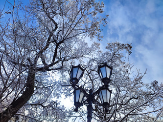 Similar image 22301561