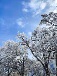 Similar image 22301562