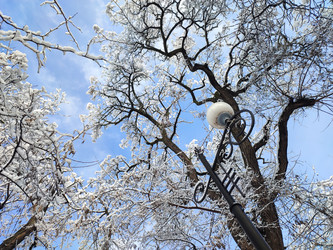 Similar image 22301563