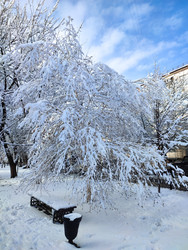 Similar image 22315449