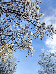 Similar image 22301564