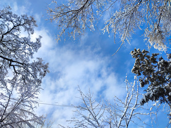 Similar image 22301565