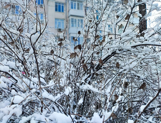 Similar image 22311863