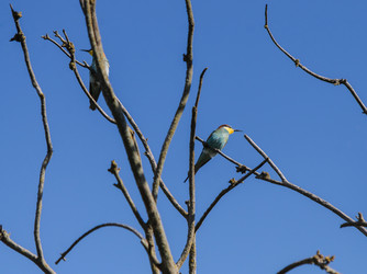 Similar image 22290110