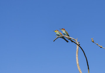 Similar image 22290111