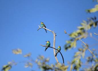 Similar image 22290112