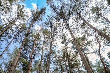 Similar image 22315455