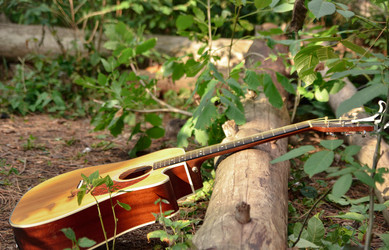 Similar image 22315511