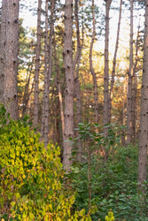 Similar image 22301573