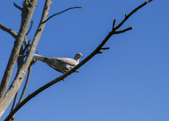 Similar image 22311867