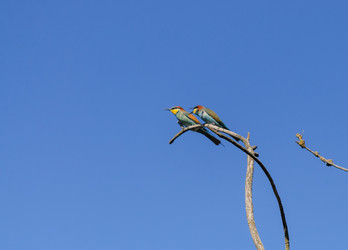 Similar image 22290113