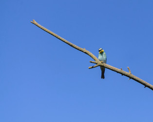 Similar image 22290114