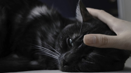 Similar image 22328190