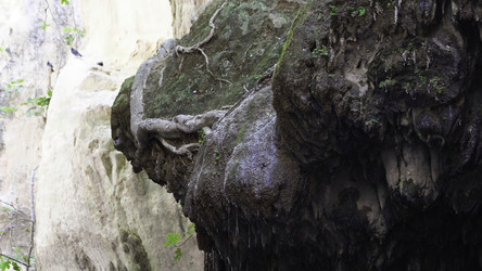 Similar image 22329569