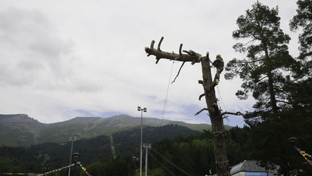 Similar image 22329868