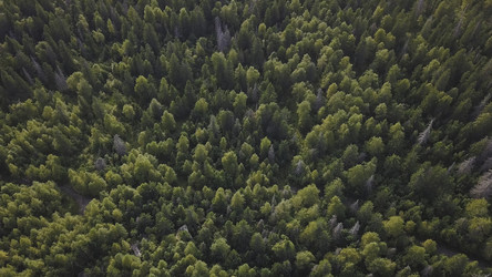 Similar image 22330457