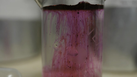 Similar image 22330462