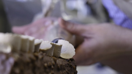 Similar image 22330909