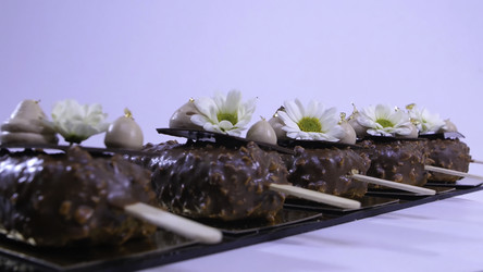 Similar image 22331246