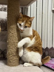 Similar image 22291159