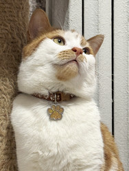 Similar image 22291160