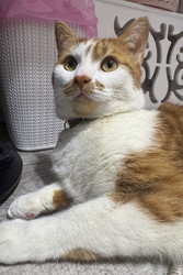 Similar image 22291161