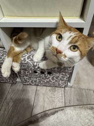 Similar image 22291162